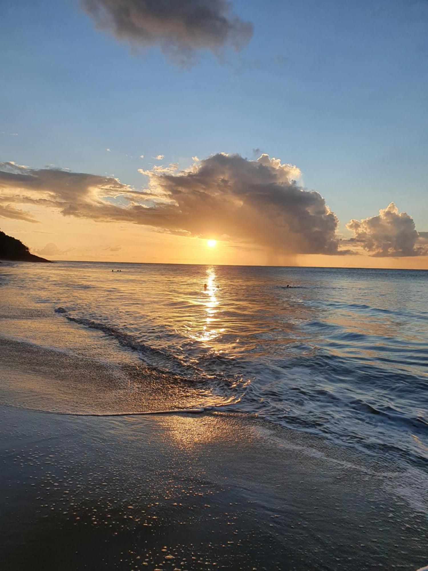 A Deux Pas De La Plage, La Perle! Vue Panoramique Villa Deshaies Eksteriør billede